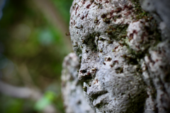 Robert-Heck-Park - Impressionen 2020