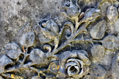 Robert-Heck-Park - Impressionen 2020