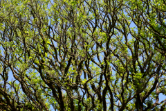 Robert-Heck-Park - Impressionen 2020